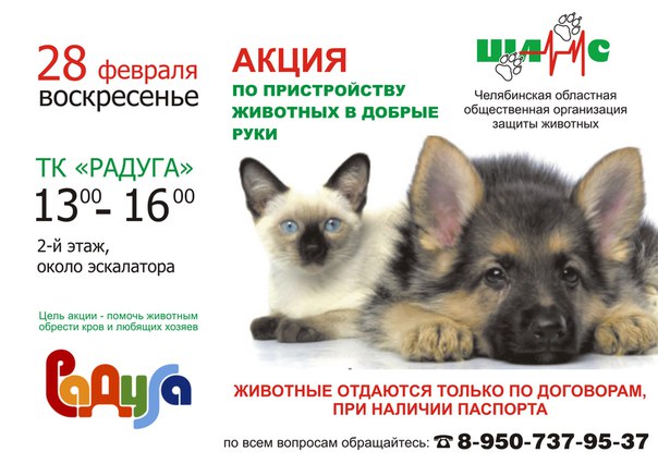 Выставка кошек и собак в ТК "Радуга"